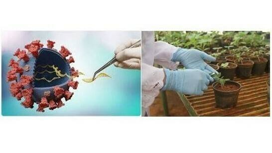 beainterf2-2-16x9|beainterf2 (2)